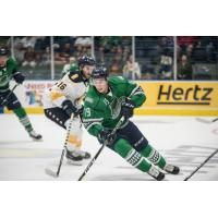 Florida Everblades forward Kyle Platzer skates against the Norfolk Admirals