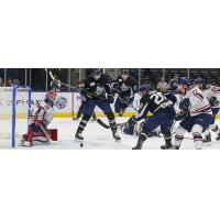 South Carolina Stingrays goaltender Parker Milner faces the Jacksonville IceMen
