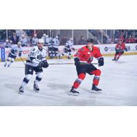 Adirondack Thunder F Jakob Reichert (51) vs. the Manchester Monarchs