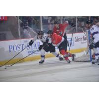 Adirondack Thunder defenseman Desmond Bergin (37)