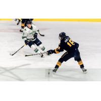 Connor Hurley of the Norfolk Admirals vs. the Florida Everblades