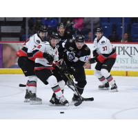 Adirondack Thunder vs. the Reading Royals