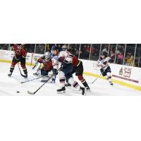 South Carolina Stingrays forward Nick Roberto vs. the Atlanta Gladiators