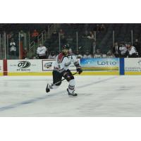 Evansville Thunderbolts defenseman Brandon Lubin