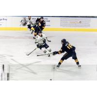 Florida Everblades vs. the Norfolk Admirals