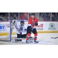 Adirondack Thunder forward James Henry in front of the Reading Royals net