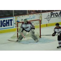 Evansville Thunderbolts goaltender Ed Minney