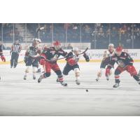 Grand Rapids Griffins vs. the Chicago Wolves
