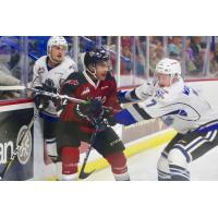 Justin Sourdif of the Vancouver Giants battles the Victoria Royals