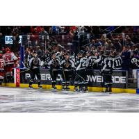 Utah Grizzlies bench
