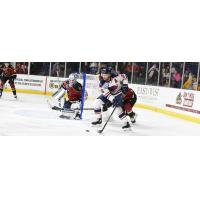 South Carolina Stingrays forward Andrew Cherniwchan vs. the Atlanta Gladiators