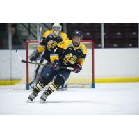 Sarnia Sting defenceman Nolan Dillingham-Morelli