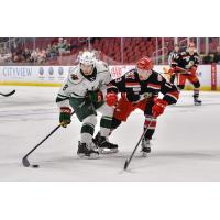 Grand Rapids Griffins defenseman Filip Hronek (right) against the Iowa Wild's Louie Belpedio