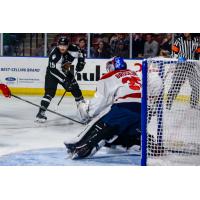 Matt Berry of the Utah Grizzlies eyes the goal