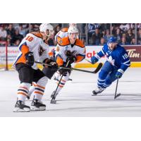 Lehigh Valley Phantoms LW Greg Carey (10) and D Philippe Myers