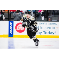 Wheeling Nailers forward Renars Krastenbergs