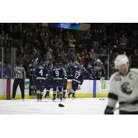 Maine Mariners celebrate with the bench