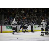 Maine Mariners fight with the Manchester Monarchs