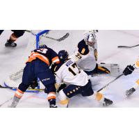 The Greenville Swamp Rabbits and Norfolk Admirals battle in front of the Norfolk goal