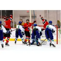 Metropolitan Riveters celebrate a goal against the Connecticut Whale