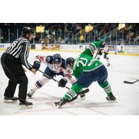 Tommy Thompson of the Florida Everblades