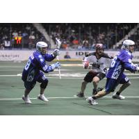 Rochester Knighthawks F Cody Jamieson vs. the Calgary Roughnecks