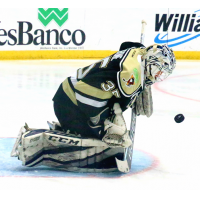 Wheeling Nailers goaltender Danny Tirone