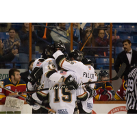 Fayetteville Marksmen celebrate a goal against the Peoria Rivermen