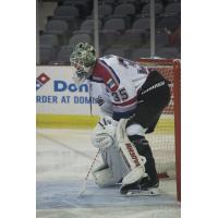 Evansville Thunderbolts goaltender Edwin Minney