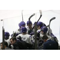 Tri-City Storm celebrate
