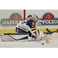 Barrie Colts goaltender Maksim Zhukov