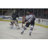Evansville Thunderbolts RW Mark Pettaccio vs. the Quad City Storm