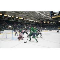 Florida Everblades forward Steven Lorentz (16) navigates past the South Carolina Stingrays defense