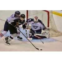 Owen Hardy of the Vancouver Giants looks for an opening against the Tri-City Americans