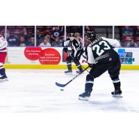 Tim McGauley of the Utah Grizzlies