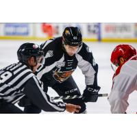 Utah Grizzlies forward Caleb Herbert