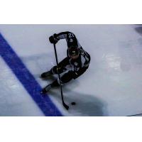 Utah Grizzlies forward Cole Ully with the puck