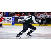 Utah Grizzlies forward Cole Ully