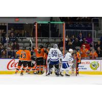 Lehigh Valley Phantoms celebrate a goal
