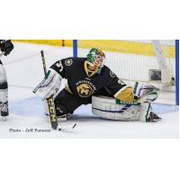 Newfoundland Growlers goaltender Michael Garteig
