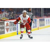 Grand Rapids Griffins defenseman Trevor Hamilton