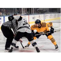 Norfolk Admirals RW Ben Duffy (12) faces off with the Manchester Monarchs