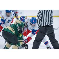 Alex Swetlikoff with the Vernon Vipers of the BCHL