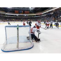 Allen Americans goaltender Jeremy Brodeur makes a save