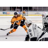 Norfolk Admirals defenseman TJ Melancon vs. the Machester Monarchs