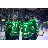 Florida Everblades huddle