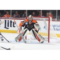 Lehigh Valley Phantoms goaltender Carter Hart ready between the pipes