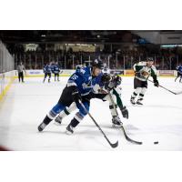 Utah Grizzlies attempt to cut off the Idaho Steelheads