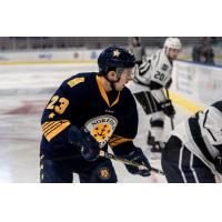 Norfolk Admirals forward Taylor Cammarata