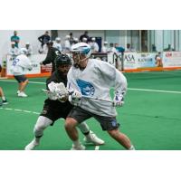 Austin Shanks of the Rochester Knighthawks vs. the Philadelphia Wings